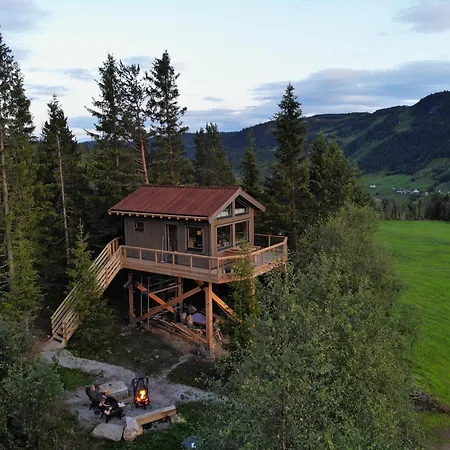 Fjellgla Tretopphytte *