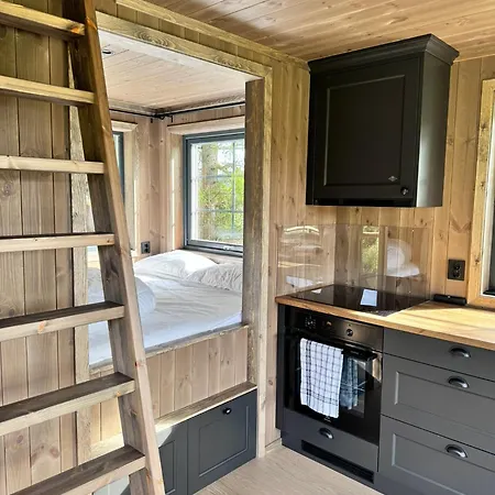 Fjellgla Tretopphytte * Holo