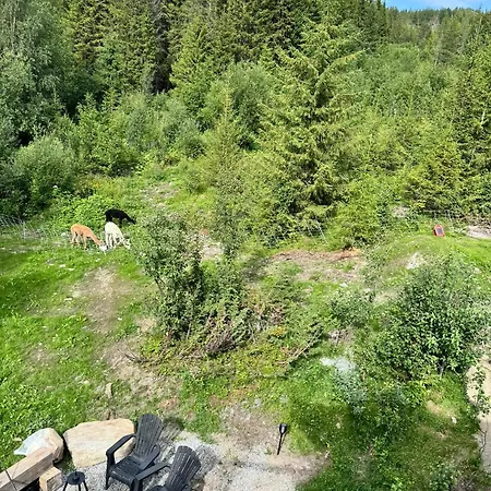 Fjellgla Tretopphytte Vakantiehuis
