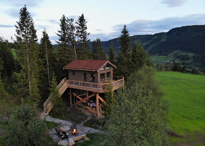 Fjellgla Tretopphytte *