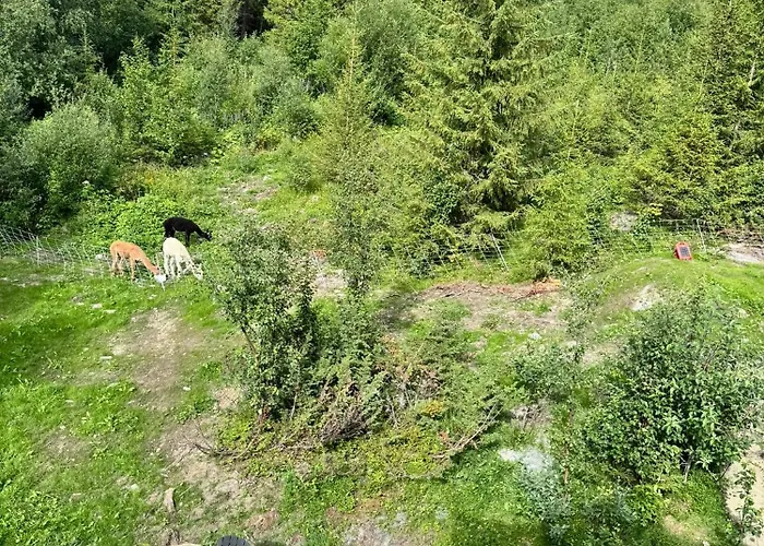 Fjellgla Tretopphytte Dom wakacyjny